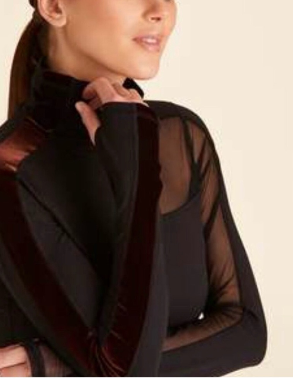 Alala Black Sheer Long-Sleeve Top with Velvet Stripe